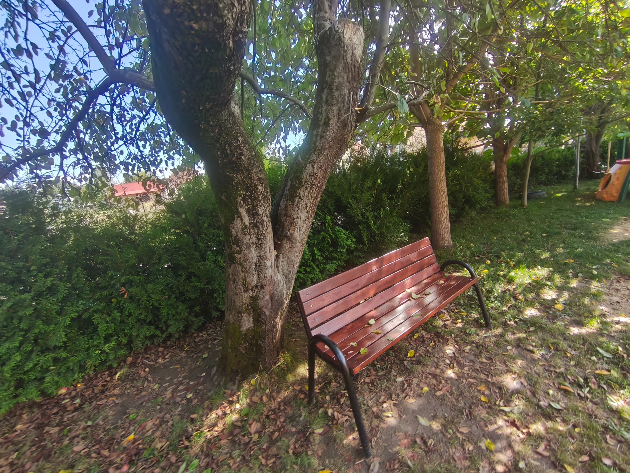 Przestrzeń i wyposażenie ogrodu Tęczowego Ogrodu